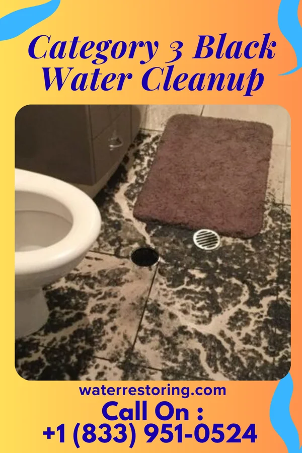 Category 3 Black Water Cleanup in Bloomfield, NY