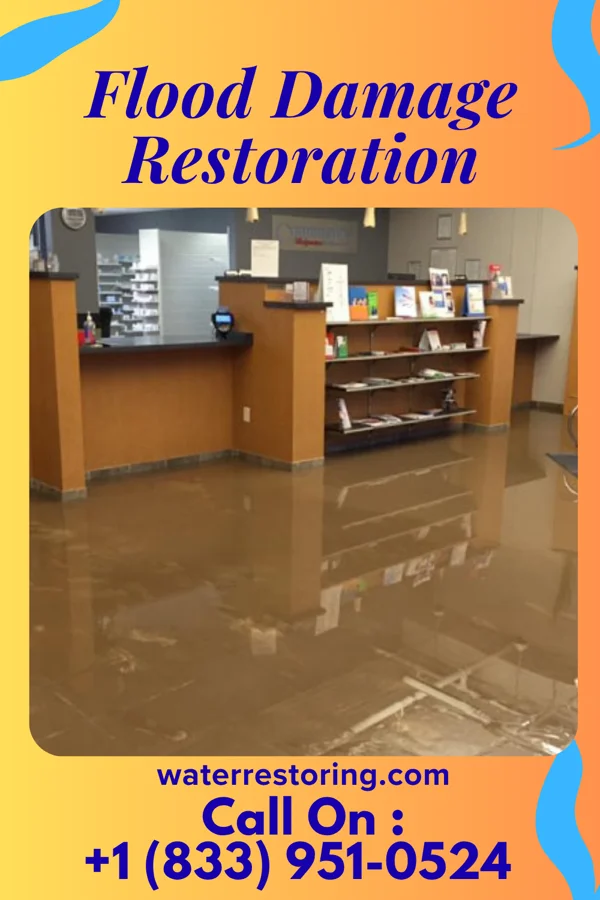 Flood Damage Restoration in Bloomfield, NY