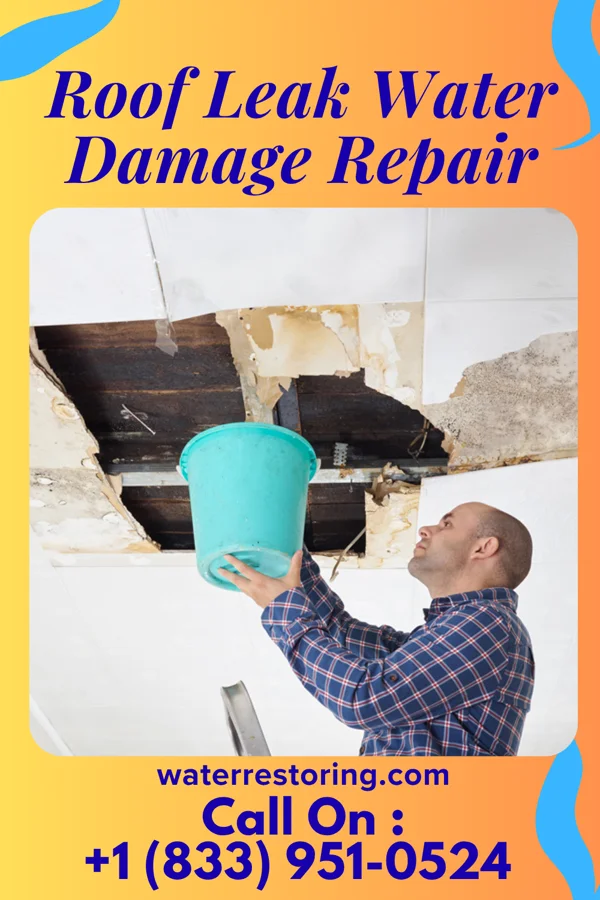 Roof Leak Water Damage Repair in Bloomfield, NY