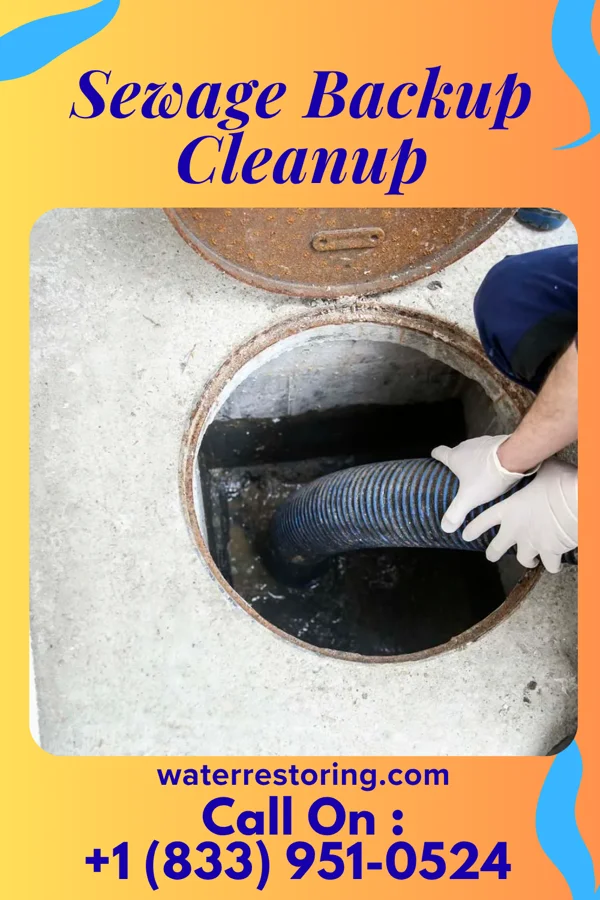Sewage Backup Cleanup in Bloomfield, NY