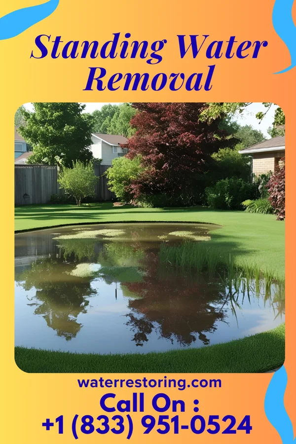 Standing Water Removal in Bloomfield, NY